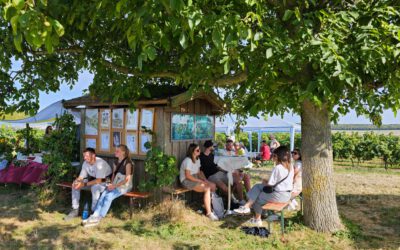 Rückblick W-Wanderung 2025